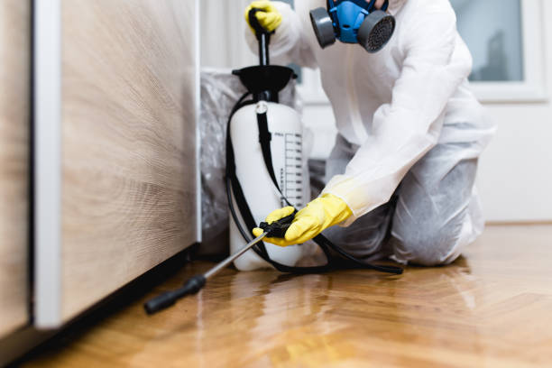 Best Cockroach Control Services  in Highland, NY