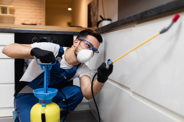Best Pest Inspection Near Me  in Highland, NY
