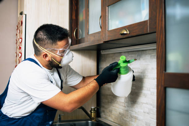 Best Commercial Pest Control Services  in Highland, NY