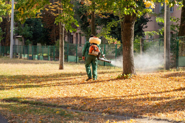 Best Pest Control Near Me in Highland, NY